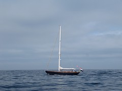De Stormvogel