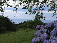 Natuur