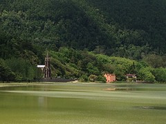 Groen water