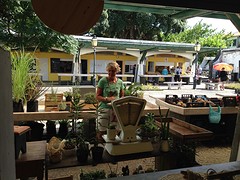 Op de markt