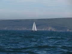 Anne
