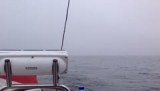 in de mist