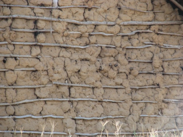 The wall