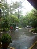 Regenbui