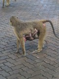 Moeder en kind