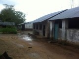 Dumbule school bij regen