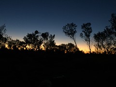 IMG_1203
