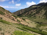 IMG_7772