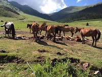 IMG_7761