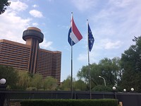 IMG_7684