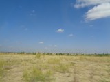 DSC00234