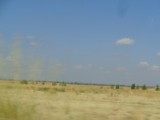 DSC00235