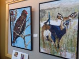 DSC00247