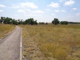 DSC00278