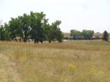 DSC00279
