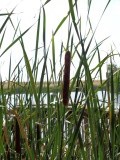 DSC00289