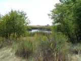 DSC00291