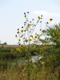 DSC00292