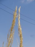 DSC00296
