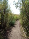 DSC00305
