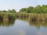 DSC00315