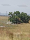 DSC00319