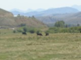 DSC00451