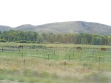 DSC00463