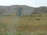 DSC00464