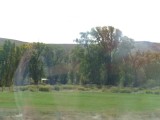 DSC00465