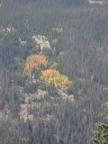 DSC00495