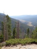 DSC00499