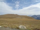 DSC00515
