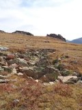 DSC00521