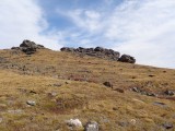 DSC00525