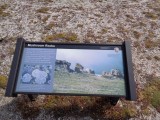 DSC00529