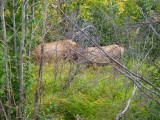 P9130096