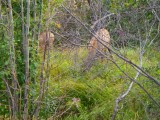 P9130099