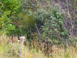 P9130109