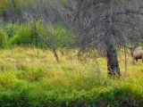 P9130186