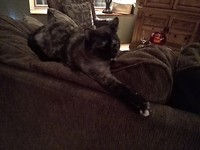 IMG_20170309_193221