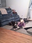 IMG_20170310_191942