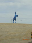 DSC03633
