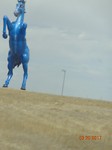 DSC03634
