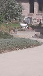 20171016_150006