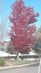 20171016_152554
