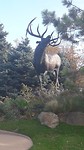 20171016_152924