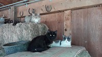 20171029_160057