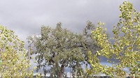 20171019_151621