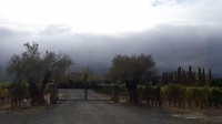 20171019_152111(0)